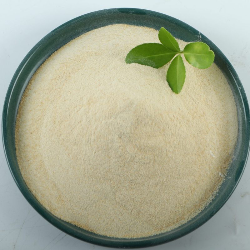 Xanthan Gum